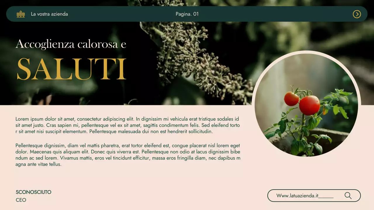 Verde Khaki Modern Agrifarm Business Presentazione dell'azienda