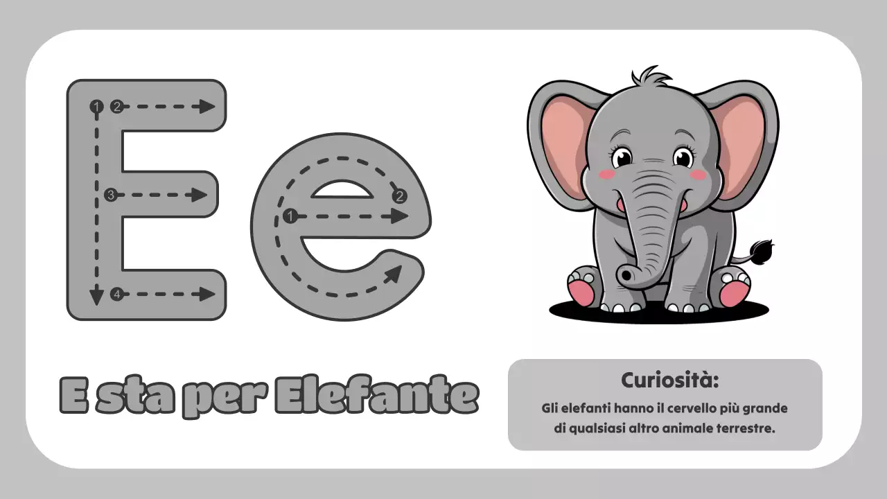 Animazione verde L'ABC degli animali Materiale di studio