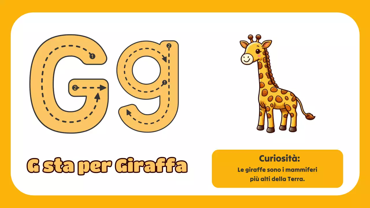 Animazione verde L'ABC degli animali Materiale di studio