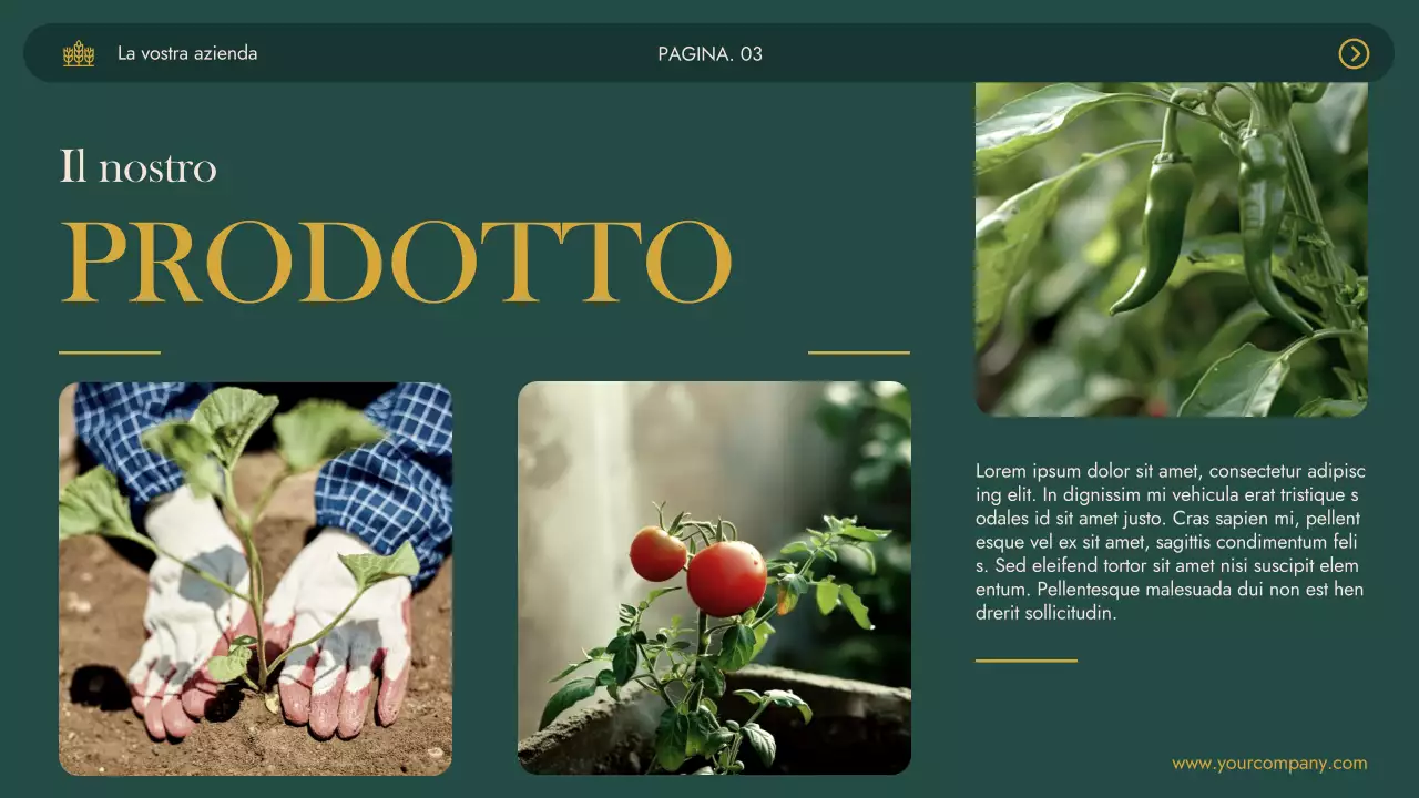 Verde Khaki Modern Agrifarm Business Presentazione dell'azienda