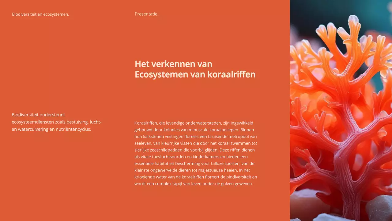 Groen Modern Biodiversiteit en Ecosystemen Studiemateriaal