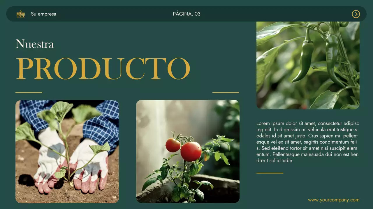 Green Khaki Modern Agrifarm Business Presentación de la empresa