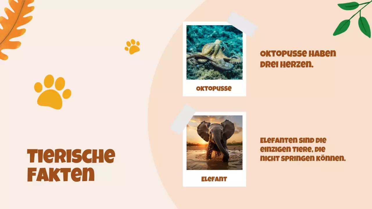 Beige Animation Entdeckung der Tiere Studienmaterial