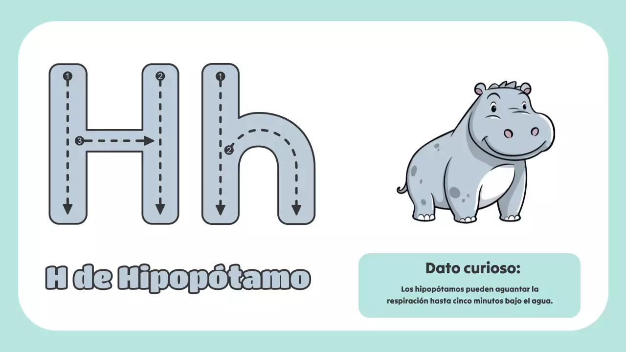 Green Animation El ABC de los animales Material de estudio