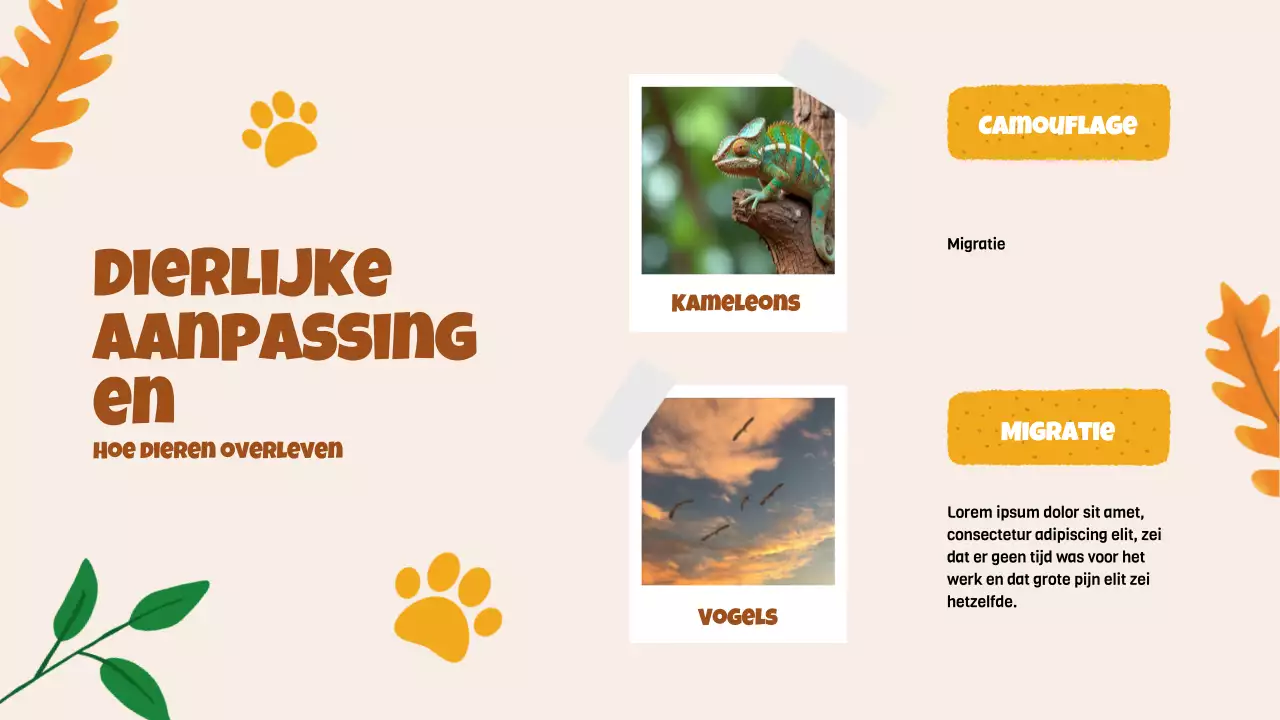 Beige animatie Ontdek dieren studiemateriaal