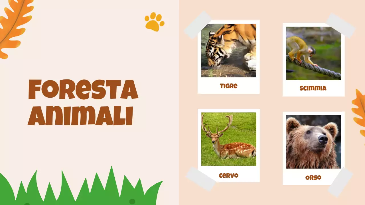 Animazione beige Alla scoperta degli animali Materiale di studio