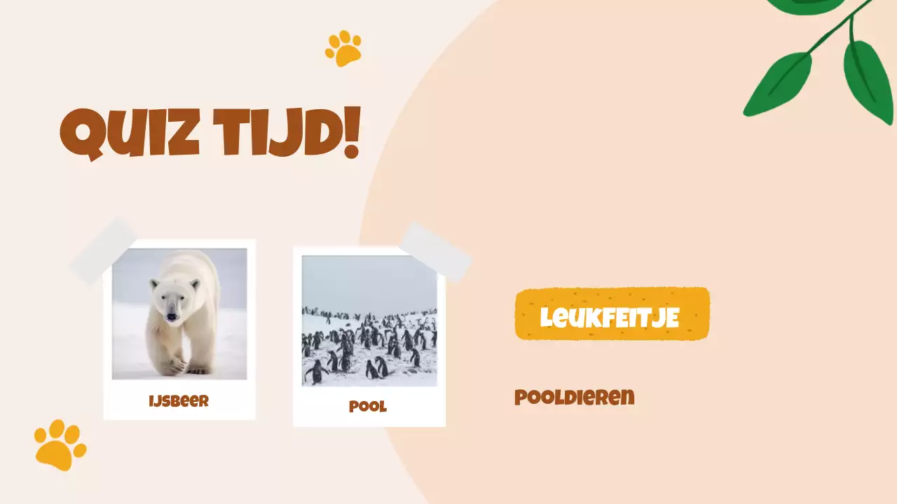 Beige animatie Ontdek dieren studiemateriaal