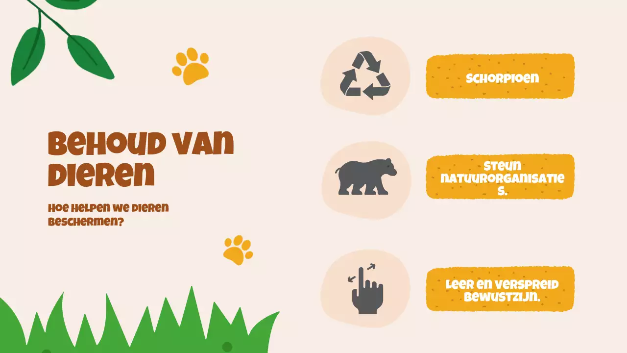 Beige animatie Ontdek dieren studiemateriaal