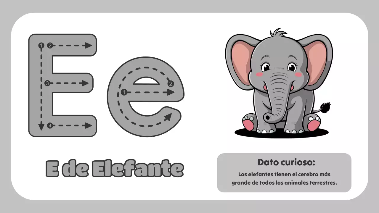 Green Animation El ABC de los animales Material de estudio