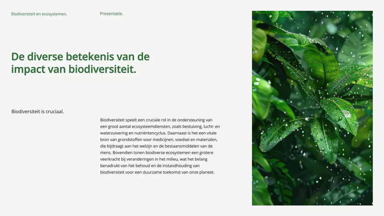Groen Modern Biodiversiteit en Ecosystemen Studiemateriaal