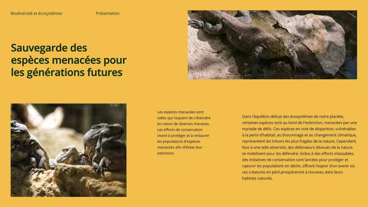 Matériel d'étude sur la biodiversité et les écosystèmes verts et modernes