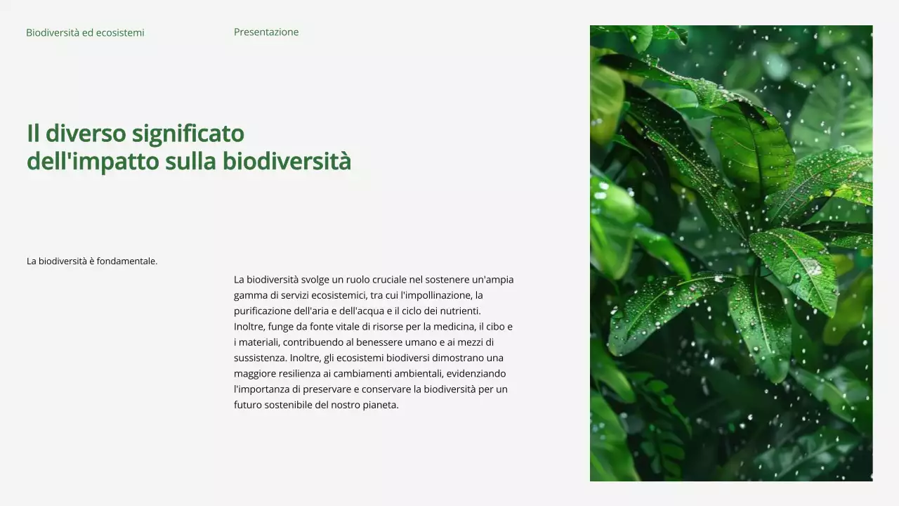 Materiale di studio sulla biodiversità e gli ecosistemi verde moderno