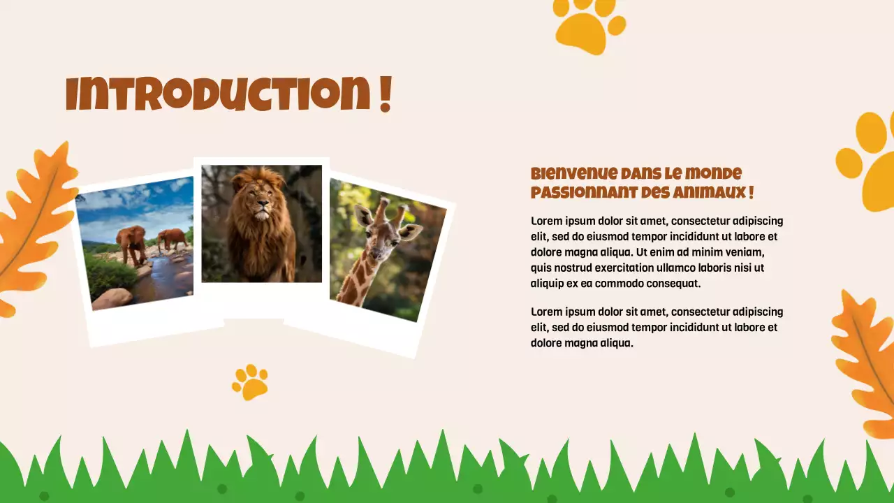 Beige Animation Découverte des animaux Matériel d'étude