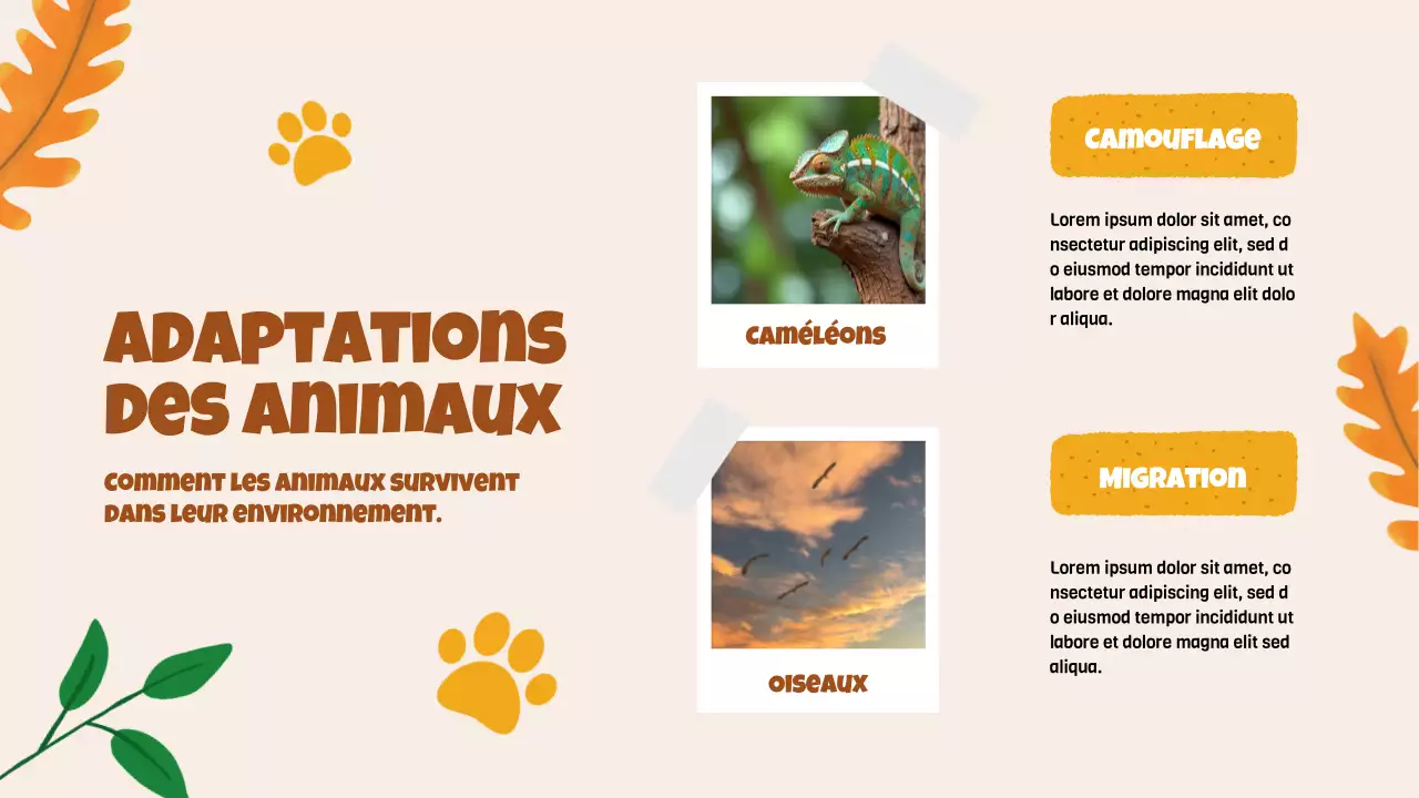 Beige Animation Découverte des animaux Matériel d'étude