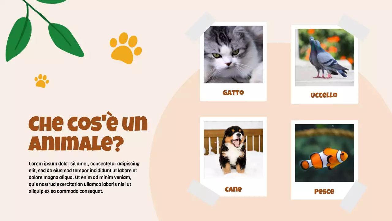 Animazione beige Alla scoperta degli animali Materiale di studio