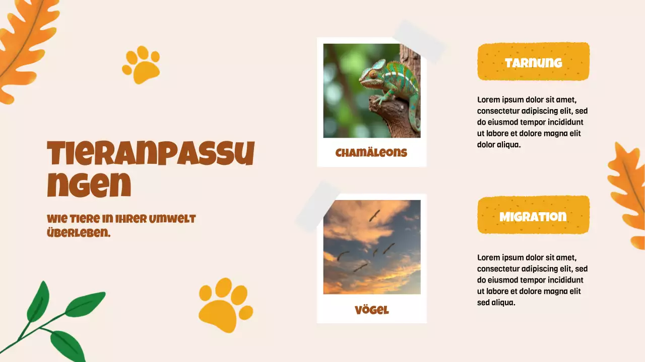 Beige Animation Entdeckung der Tiere Studienmaterial