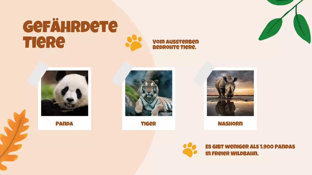 Beige Animation Entdeckung der Tiere Studienmaterial