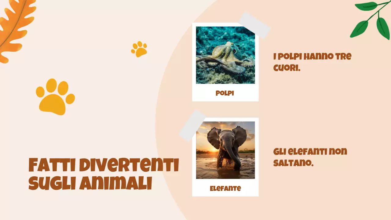 Animazione beige Alla scoperta degli animali Materiale di studio