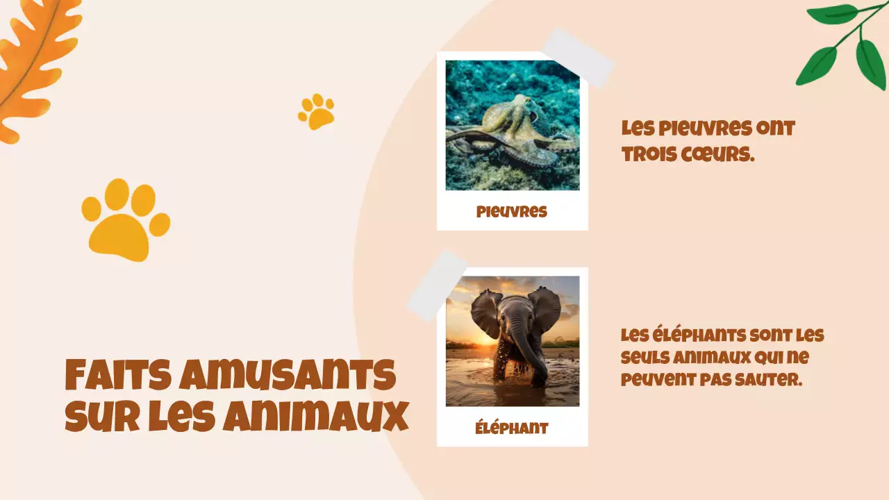 Beige Animation Découverte des animaux Matériel d'étude