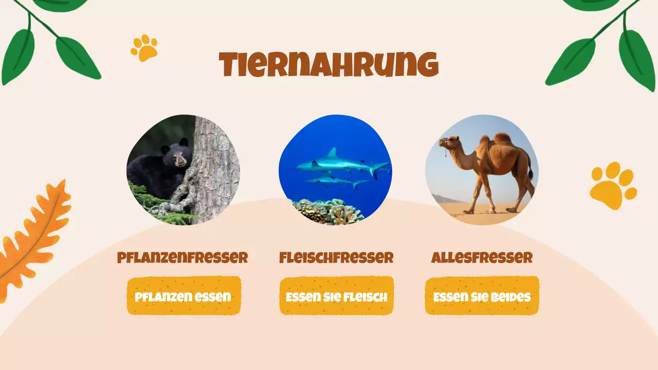 Beige Animation Entdeckung der Tiere Studienmaterial
