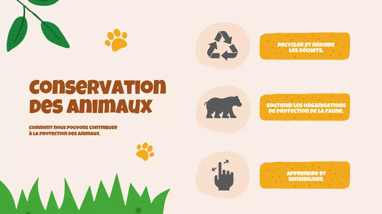 Beige Animation Découverte des animaux Matériel d'étude