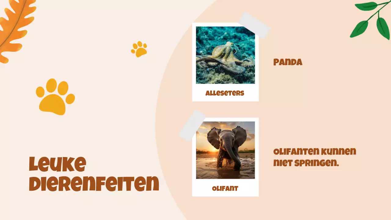 Beige animatie Ontdek dieren studiemateriaal