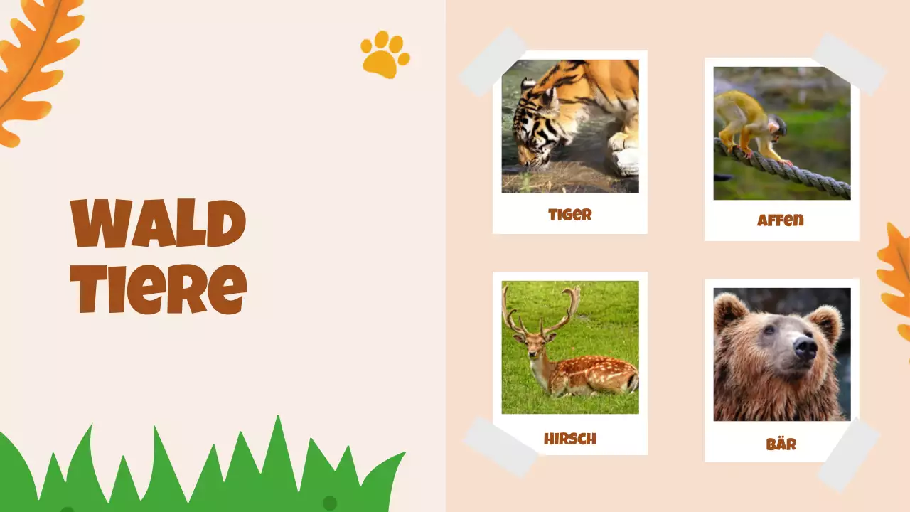 Beige Animation Entdeckung der Tiere Studienmaterial