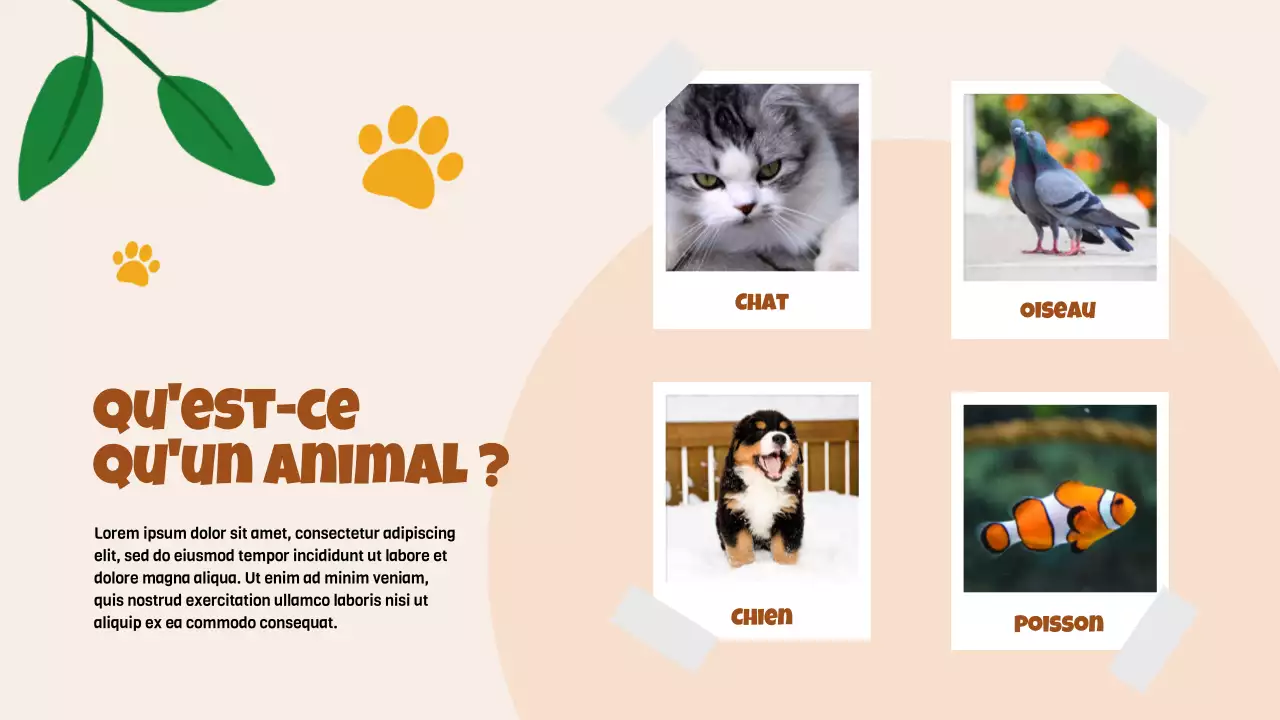 Beige Animation Découverte des animaux Matériel d'étude