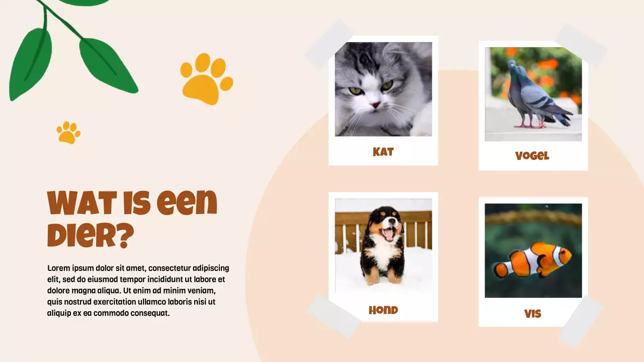 Beige animatie Ontdek dieren studiemateriaal