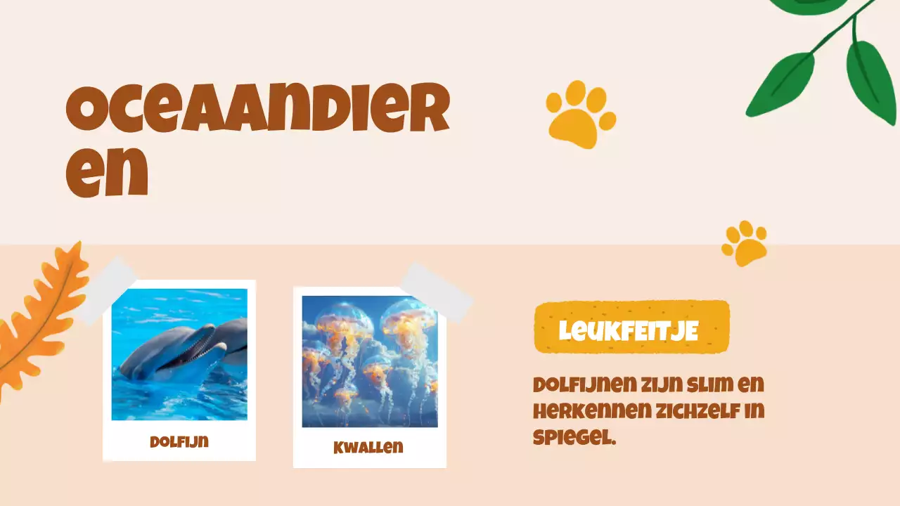 Beige animatie Ontdek dieren studiemateriaal
