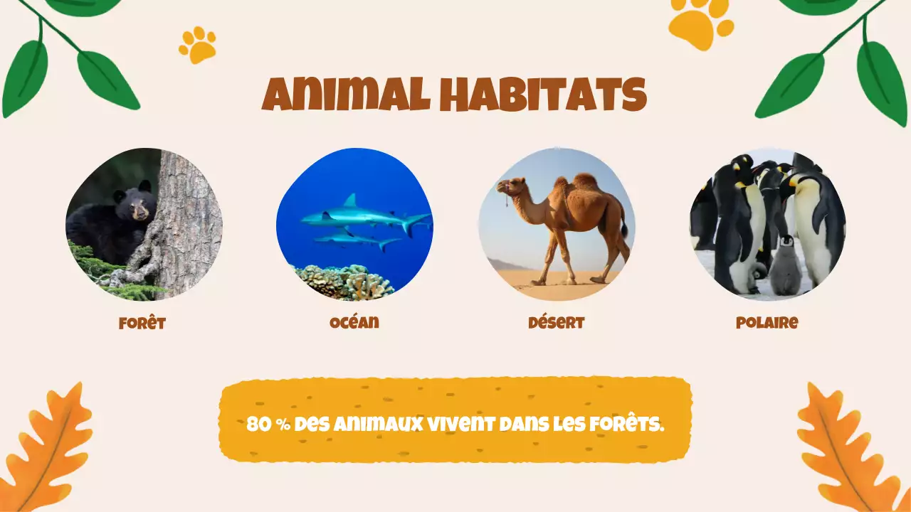 Beige Animation Découverte des animaux Matériel d'étude