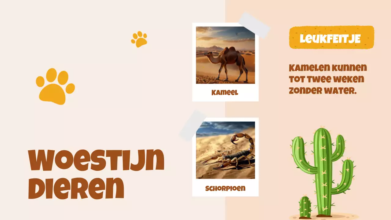 Beige animatie Ontdek dieren studiemateriaal