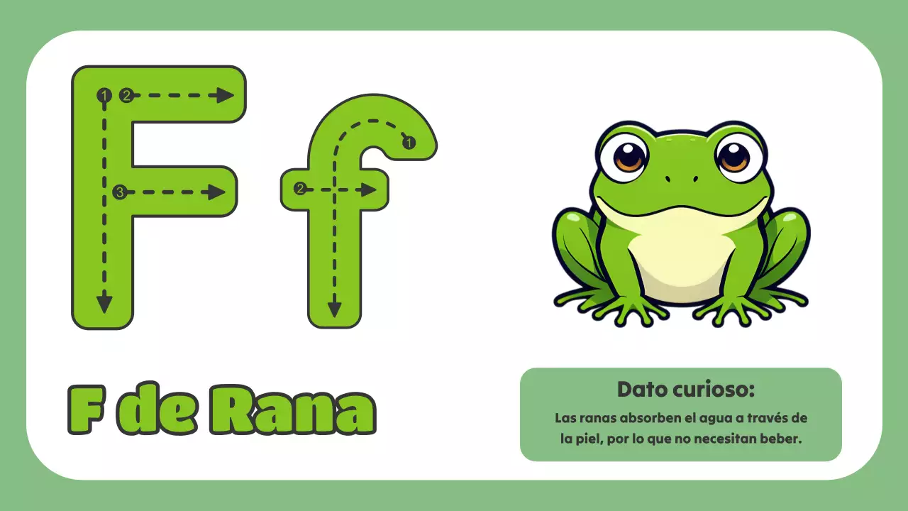 Green Animation El ABC de los animales Material de estudio