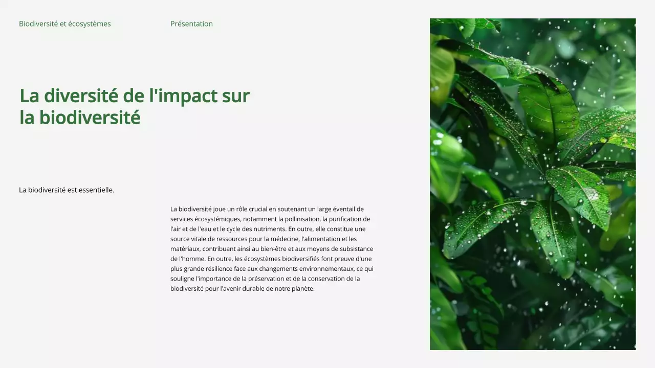 Matériel d'étude sur la biodiversité et les écosystèmes verts et modernes