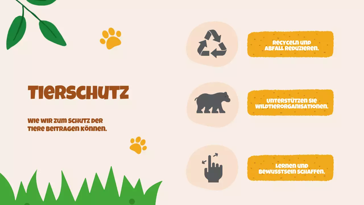 Beige Animation Entdeckung der Tiere Studienmaterial