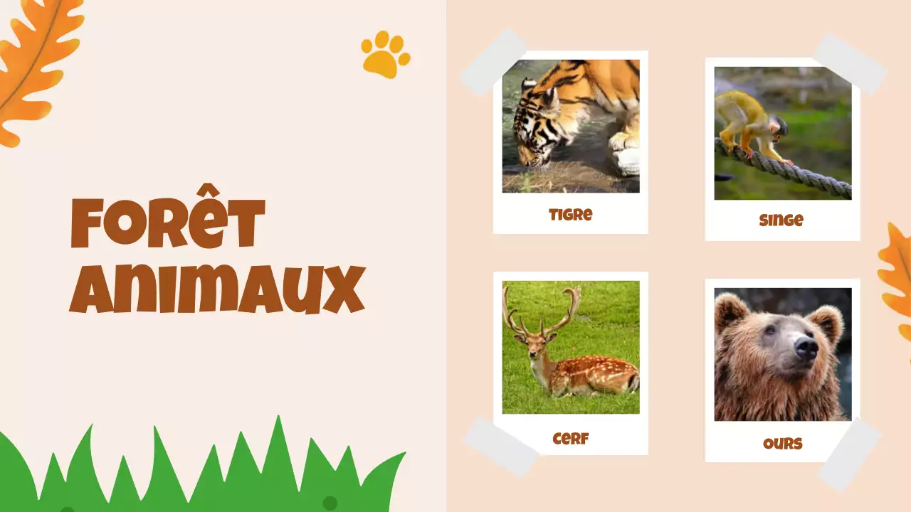 Beige Animation Découverte des animaux Matériel d'étude