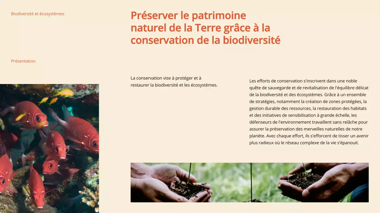 Matériel d'étude sur la biodiversité et les écosystèmes verts et modernes