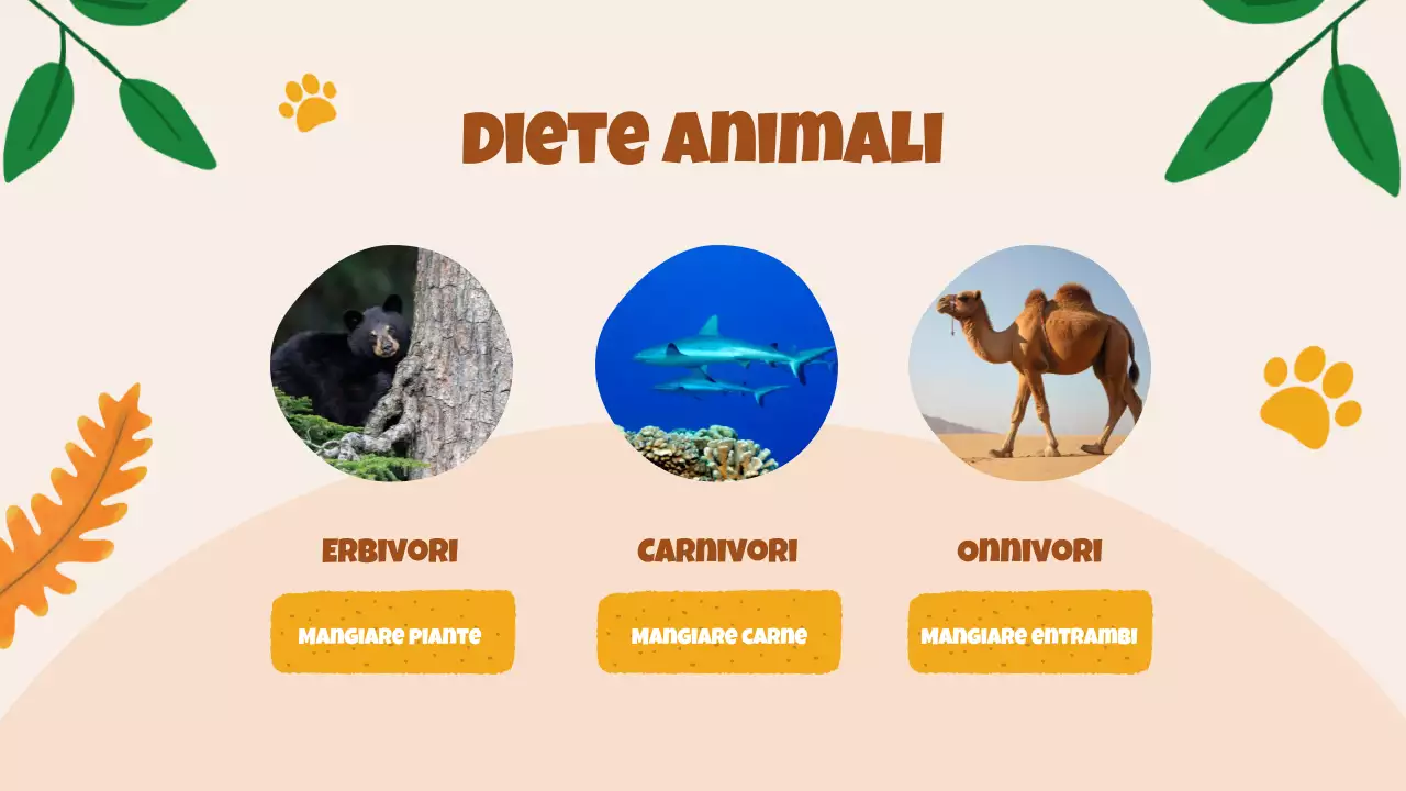 Animazione beige Alla scoperta degli animali Materiale di studio