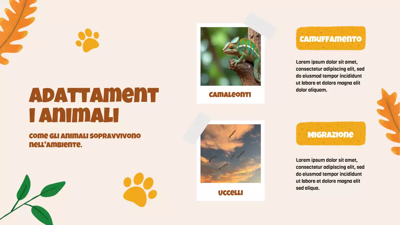 Animazione beige Alla scoperta degli animali Materiale di studio