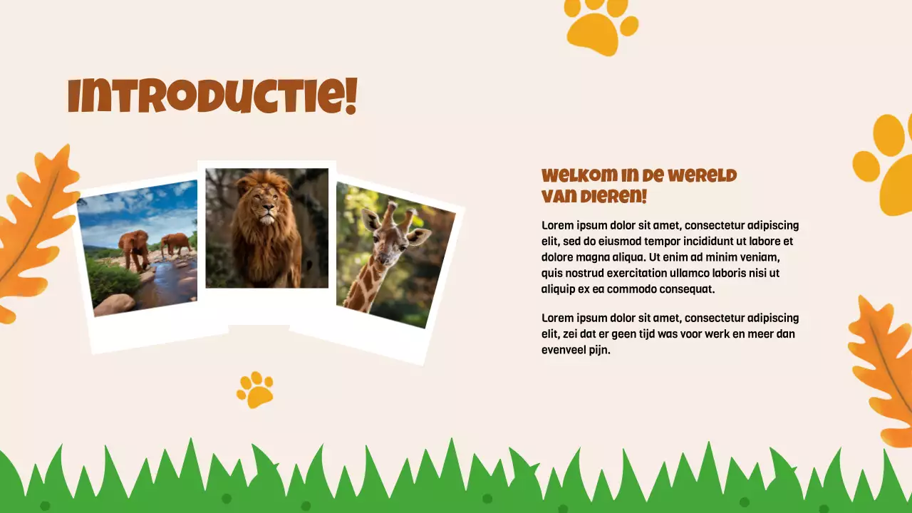 Beige animatie Ontdek dieren studiemateriaal