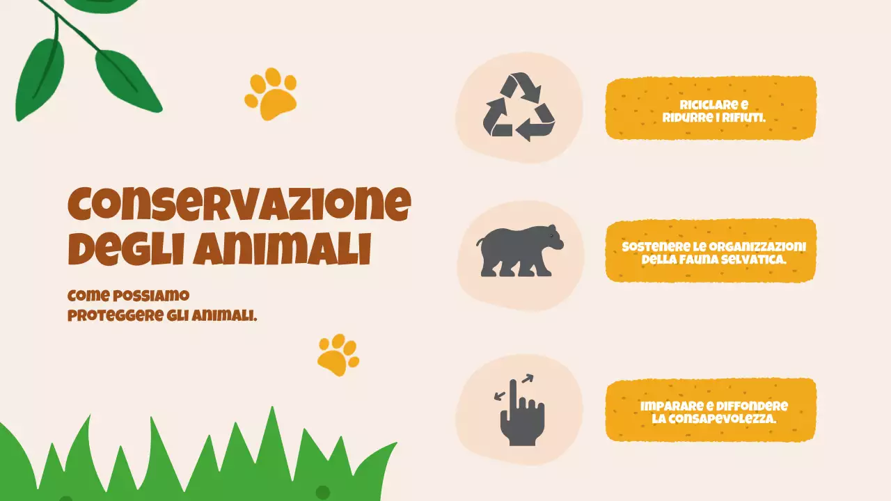 Animazione beige Alla scoperta degli animali Materiale di studio