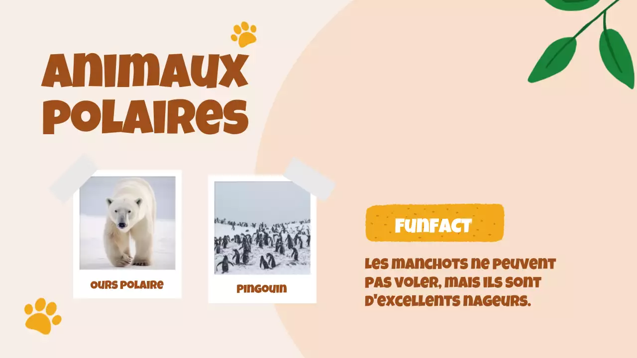 Beige Animation Découverte des animaux Matériel d'étude