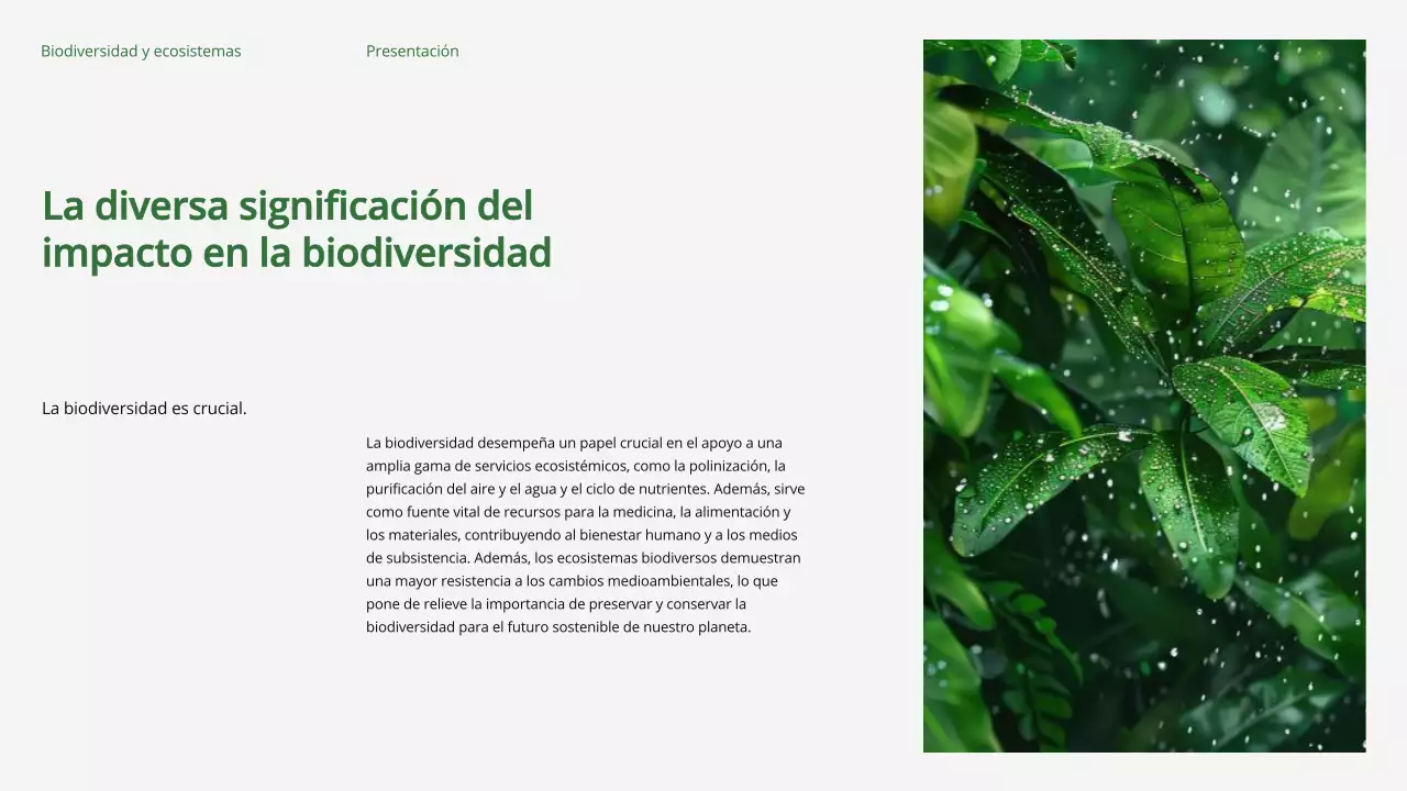 Green Modern Biodiversidad y Ecosistemas Material de estudio