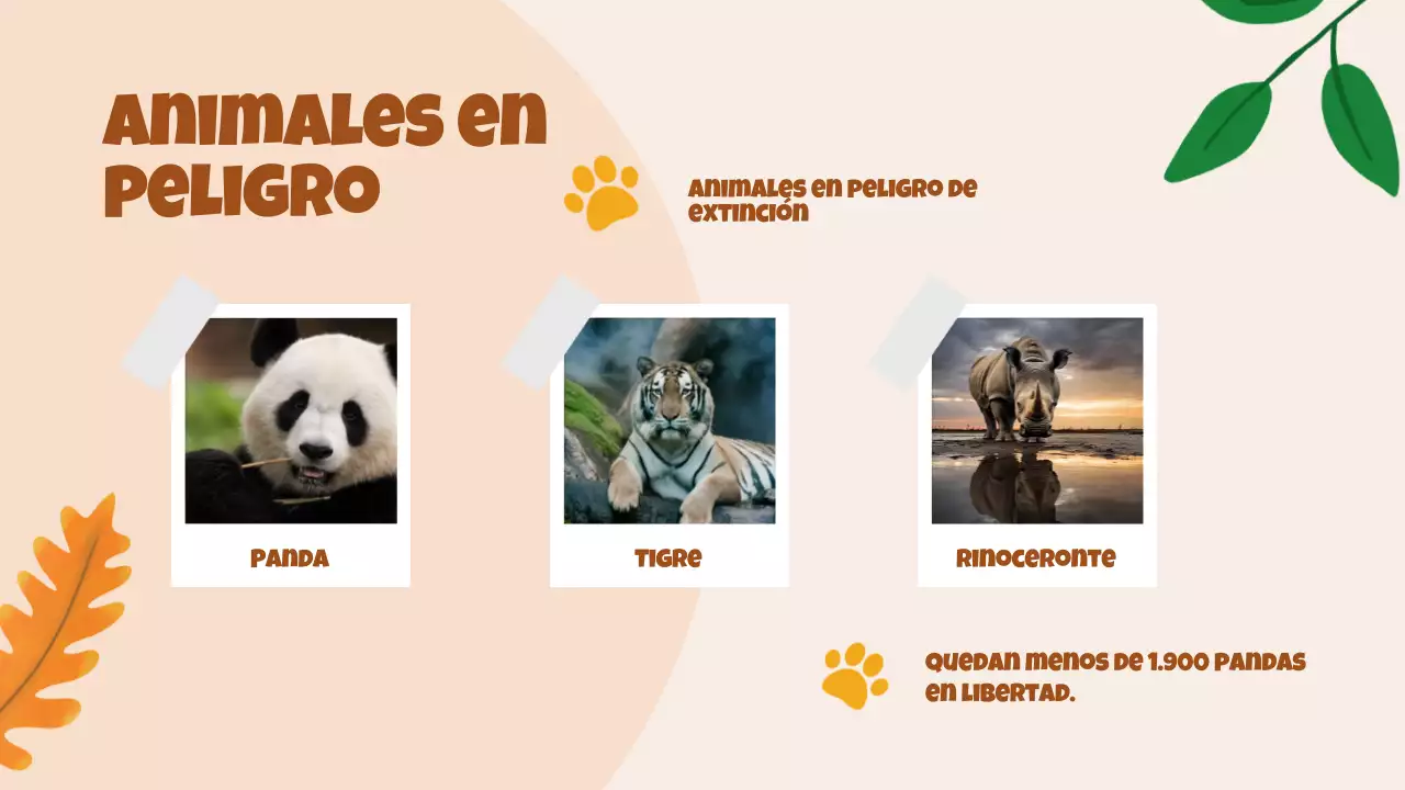 Beige Animation Descubrir a los animales Material de estudio