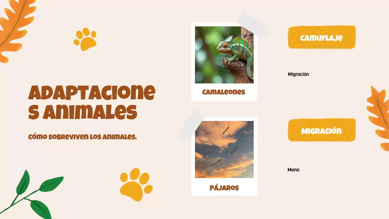 Beige Animation Descubrir a los animales Material de estudio