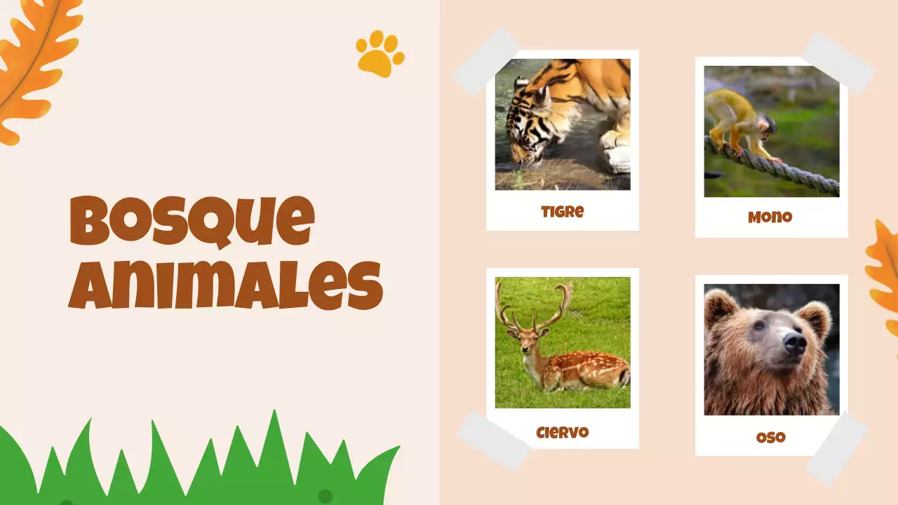 Beige Animation Descubrir a los animales Material de estudio