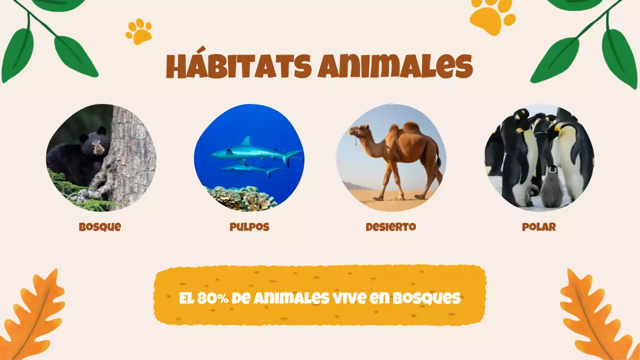 Beige Animation Descubrir a los animales Material de estudio