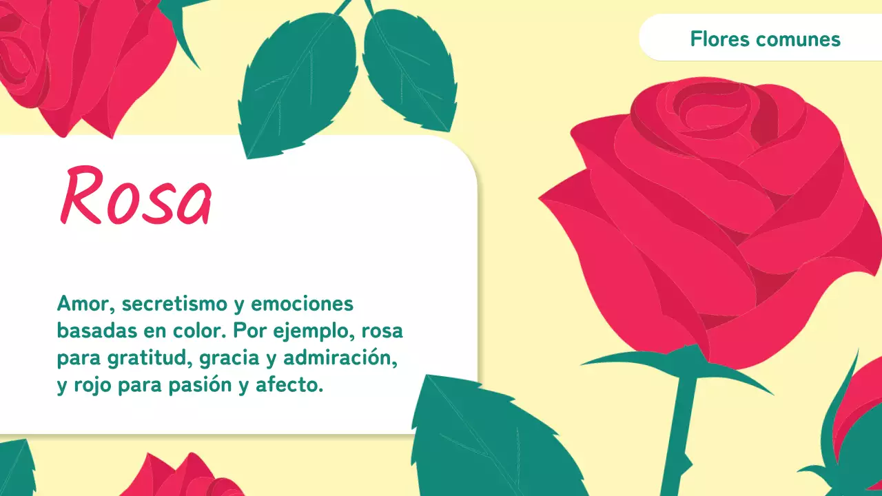 Amarillo Rosa Animación Flores Material de clase