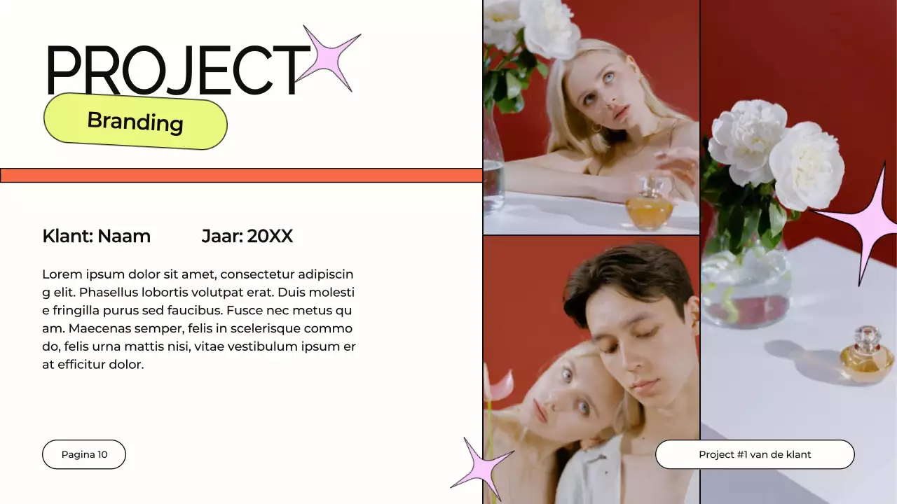 Orange and Purple Design Studio Bedrijfsprofiel Introductie