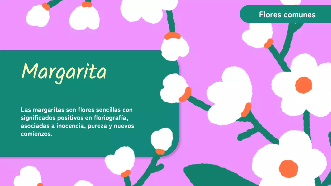 Amarillo Rosa Animación Flores Material de clase